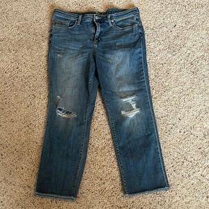 Size 18 Universal Thread Straight Crop